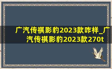 广汽传祺影豹2023款咋样_广汽传祺影豹2023款270t 影豹j15版